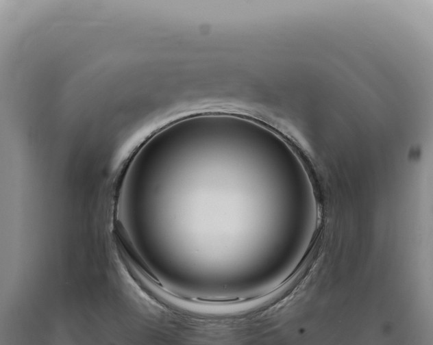 X0000090761504200707271455