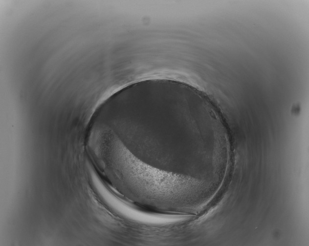 X0000090761505200707271455