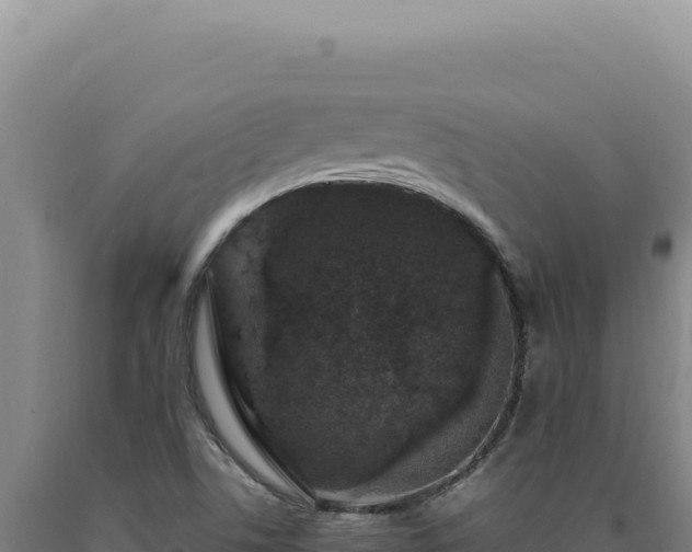 X0000090761506200707271455