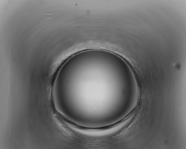 X0000090761507200707271455