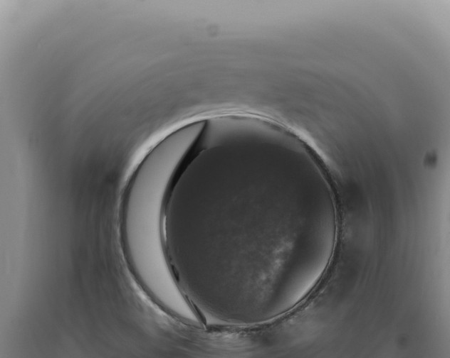 X0000090761508200707271455