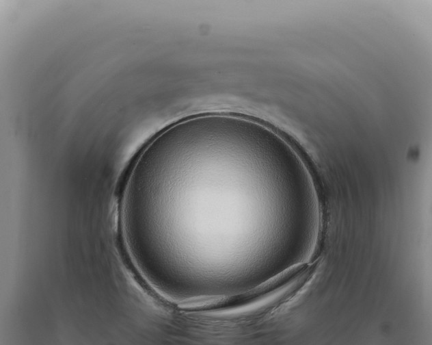 X0000090761509200707271455