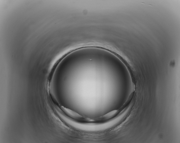 X0000090761510200707271455