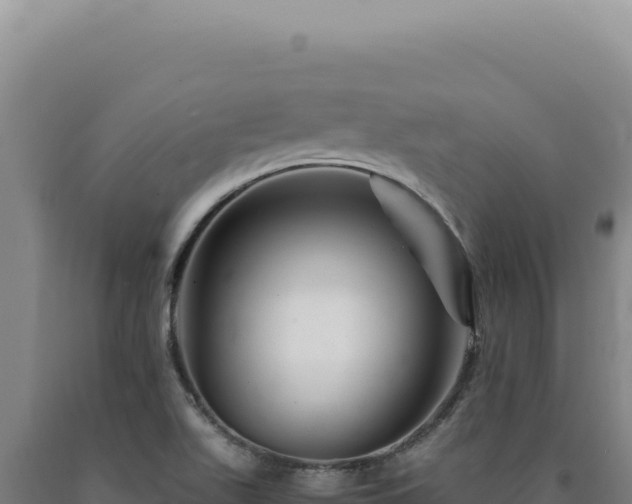 X0000090761511200707271455