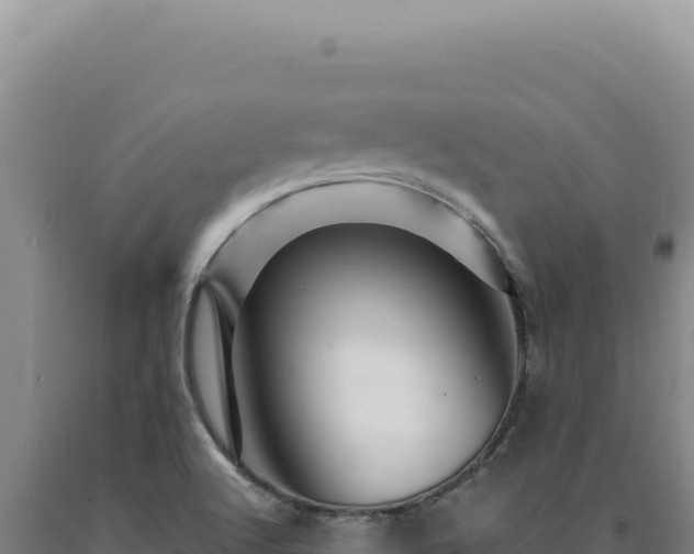 X0000090761512200707271455