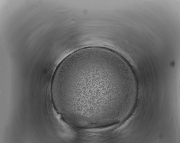 X0000090761513200707271455