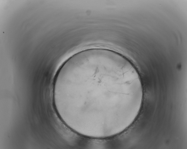 X0000090761514200707271455