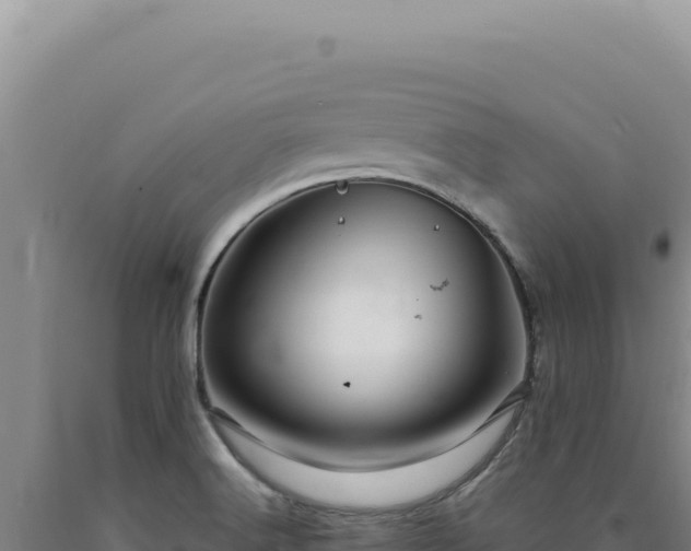 X0000090761516200707271455