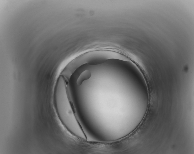 X0000090761520200707271455