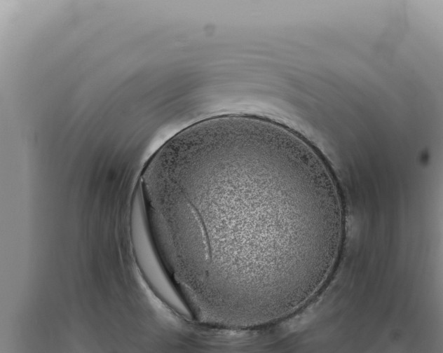 X0000090761521200707271455