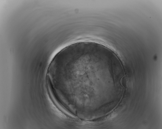 X0000090761522200707271455