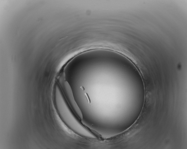 X0000090761523200707271455