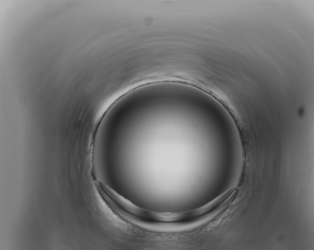 X0000090761524200707271455