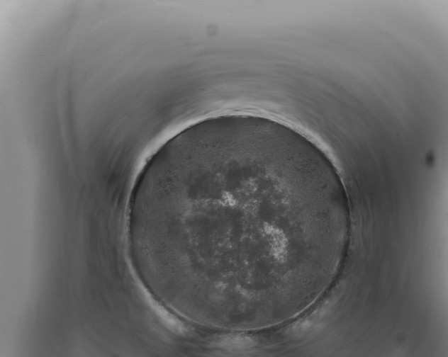 X0000090761525200707271455