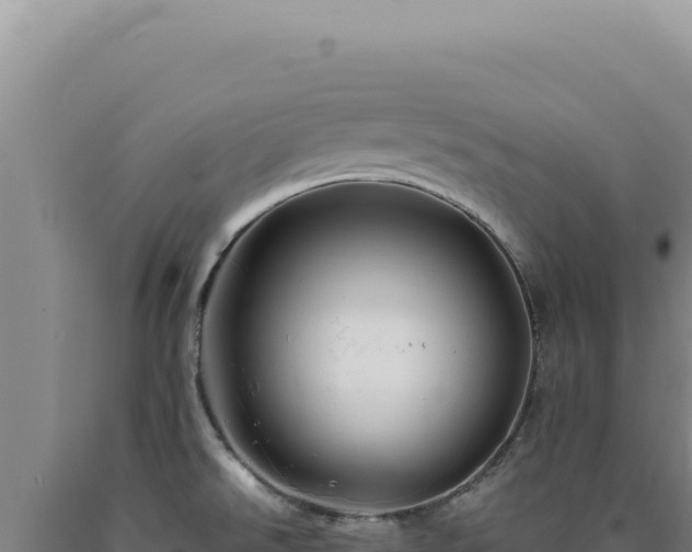 X0000090761526200707271455