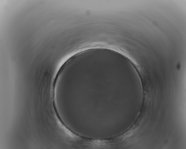 X0000090761527200707271455