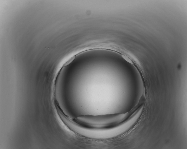 X0000090761528200707271455