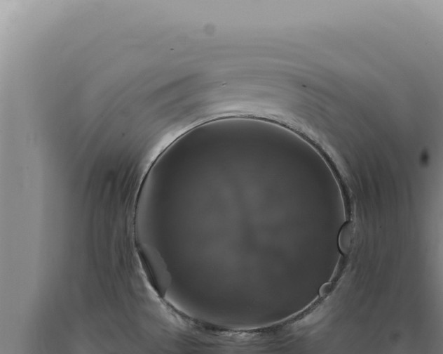 X0000090761529200707271455