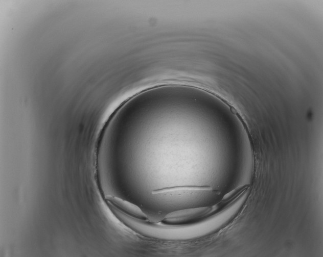 X0000090761531200707271456