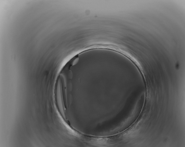 X0000090761533200707271456