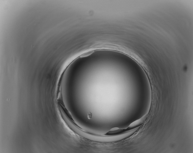 X0000090761536200707271456