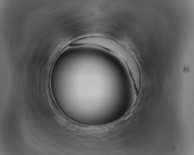 X0000090760001200708031641