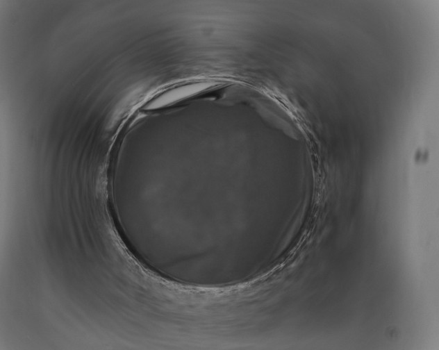 X0000090760002200708031641