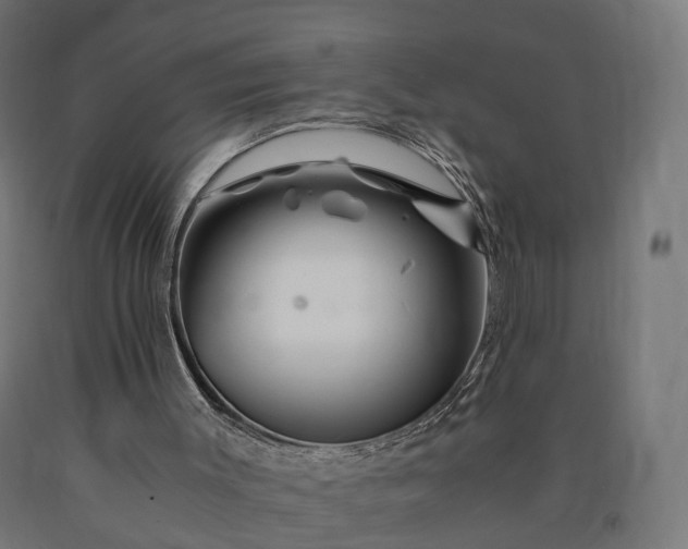 X0000090760003200708031641