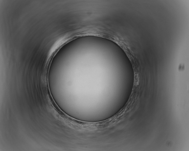 X0000090760004200708031641