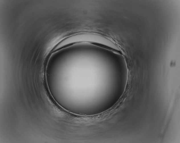 X0000090760005200708031640