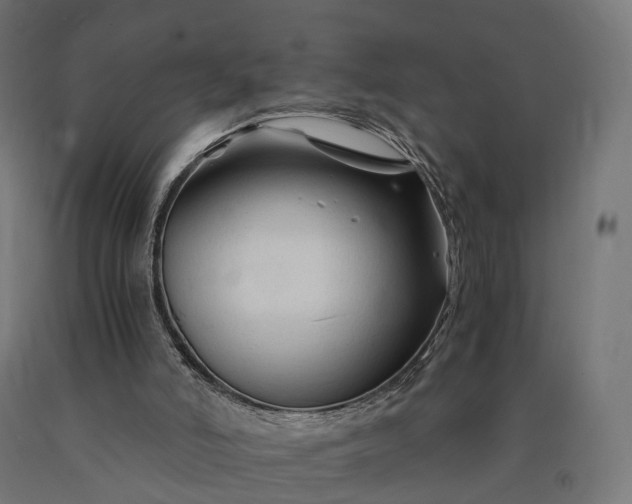 X0000090760006200708031640