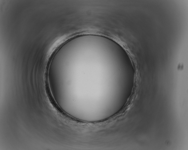 X0000090760007200708031640