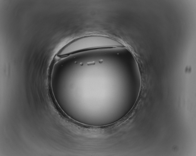 X0000090760008200708031640