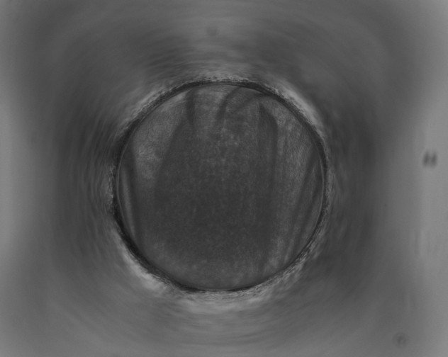 X0000090760009200708031640