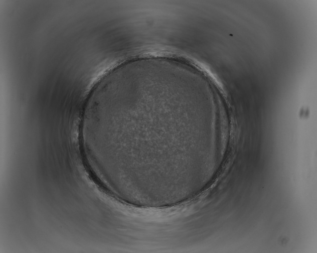 X0000090760010200708031640