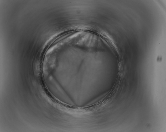 X0000090760012200708031640