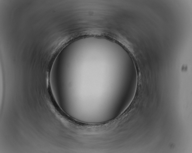 X0000090760013200708031640