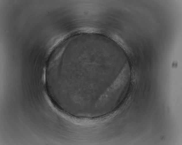 X0000090760014200708031640