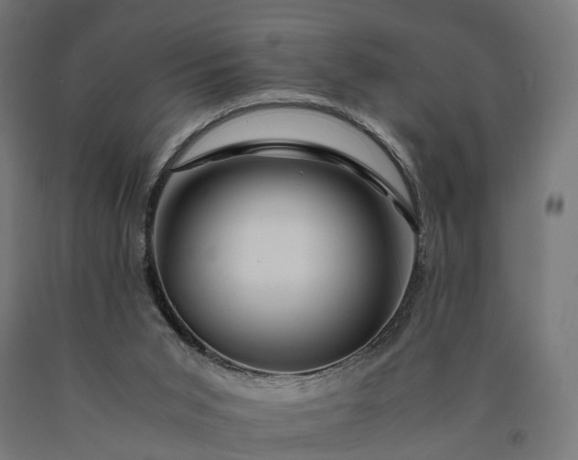 X0000090760015200708031640