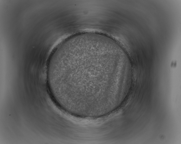 X0000090760016200708031640