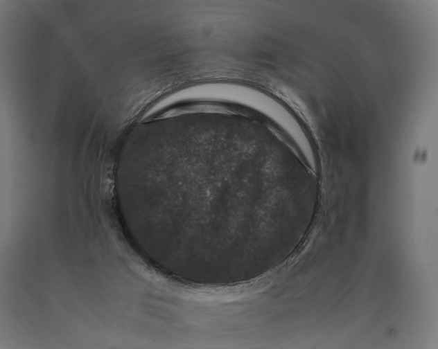 X0000090760017200708031640