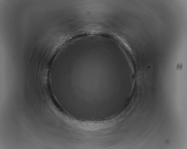 X0000090760018200708031640