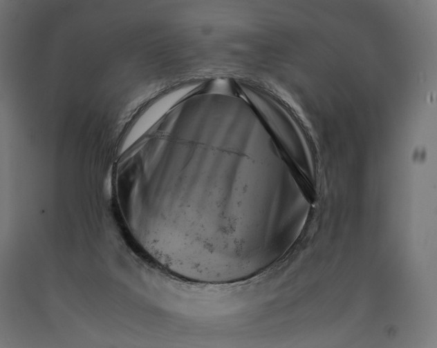 X0000090760019200708031640