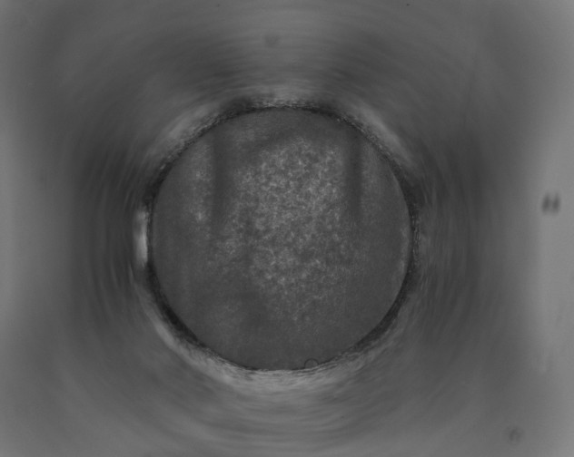 X0000090760022200708031640