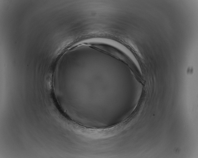 X0000090760023200708031640