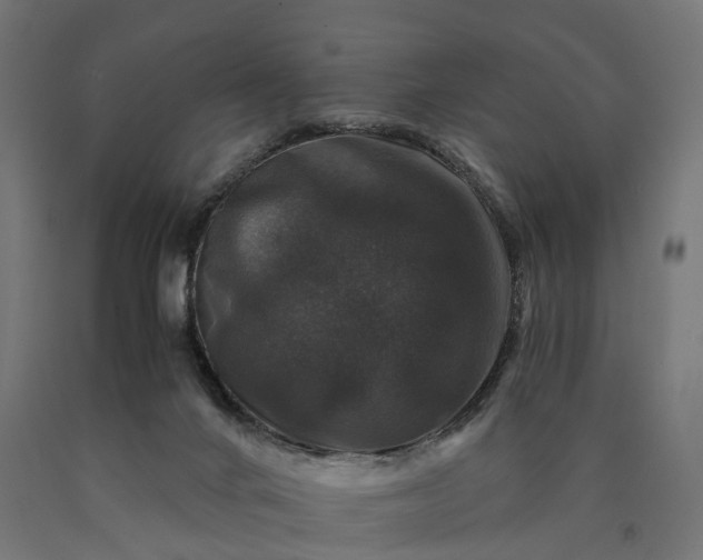 X0000090760024200708031640