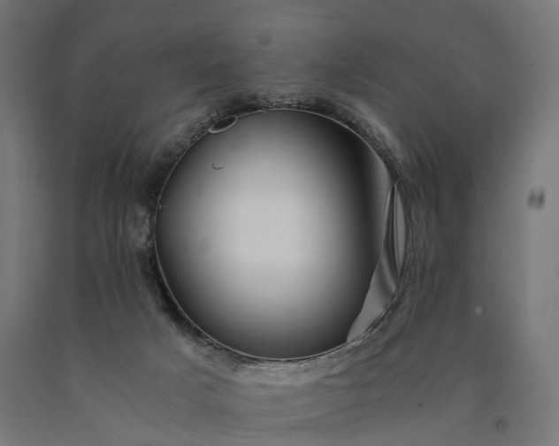 X0000090760025200708031640