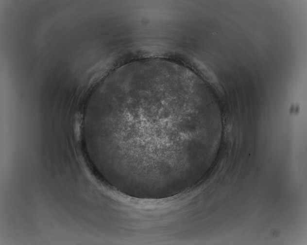 X0000090760026200708031640