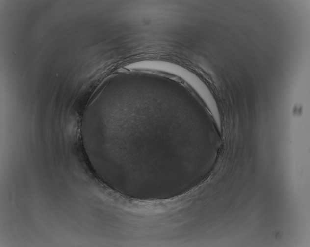 X0000090760029200708031640