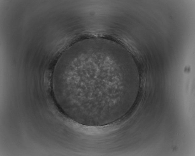 X0000090760030200708031640